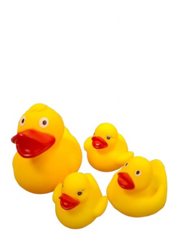 Photo of Family Of Bath Ducks Pk12