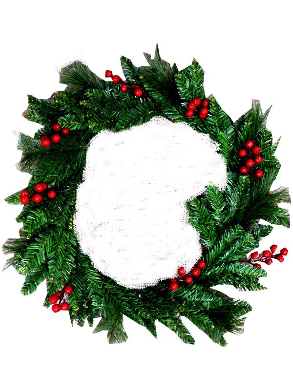 Photo of Xmas Pine & Berry Wreath 45cm Pk12