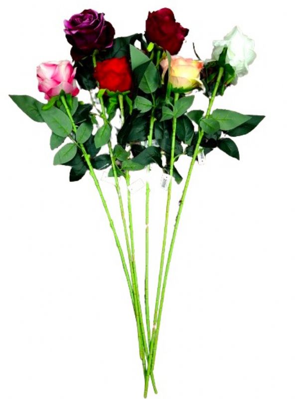 Photo of Single Stem Velvet Touch Rose Pk24 Md3717