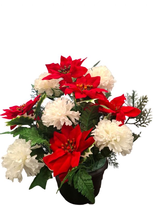 Photo of Poinsettia White Carnation  Grave Pot Pack 6