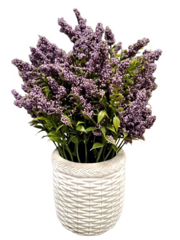 Photo of Ceramic Lavender Flower Pot Pk6