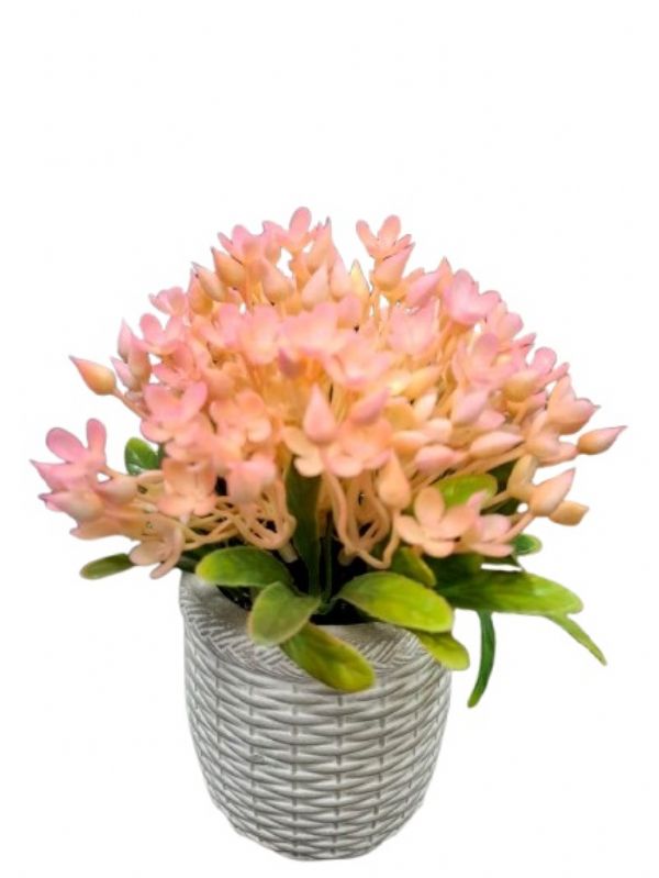 Photo of Ceramic Pink Cluster Bloom Flower Pot Pk6