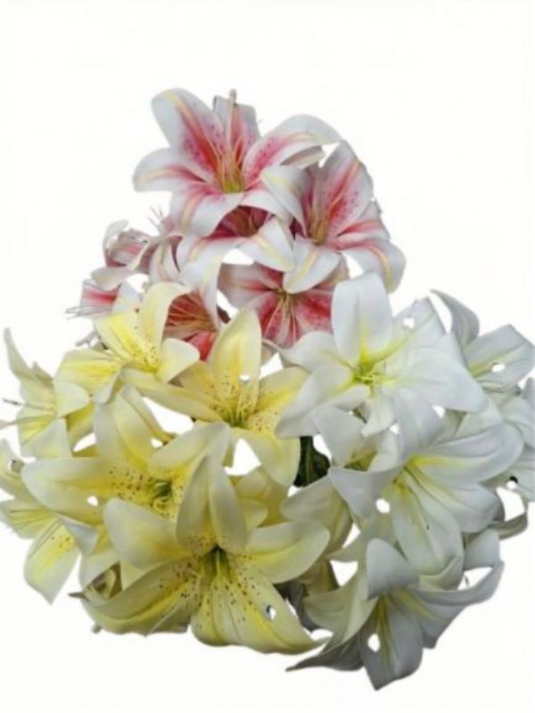 Photo of 10 Stem Lilly 3 Assorted Colours Pk24