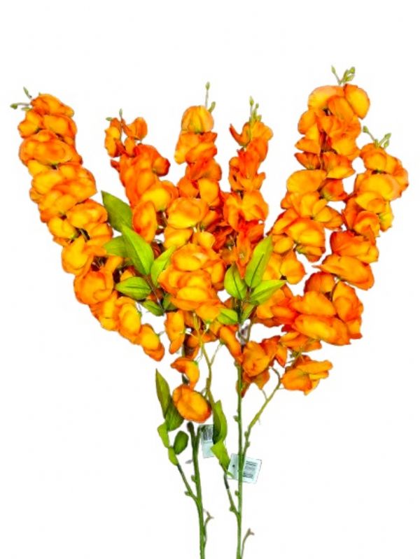 Photo of Trailing Autumn Orange Delphiniums Pk24