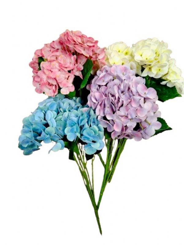 Photo of 7 Head Hydrangeas Asst Pk24