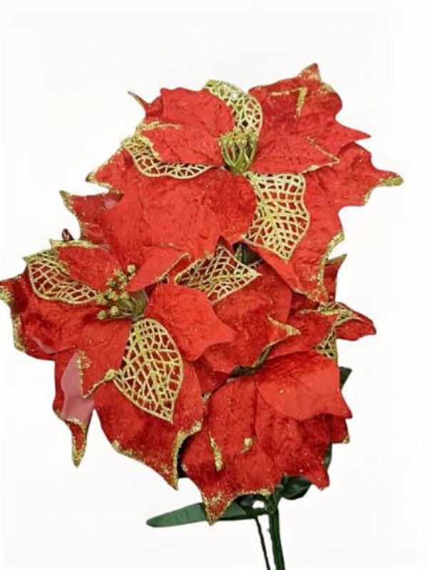Photo of Large 5 Head Ponsettia Red/gold Pk24