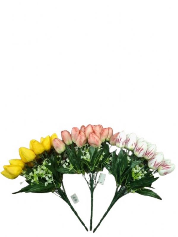 Photo of Sleeping Spring Tulip 3 Asst Pk12