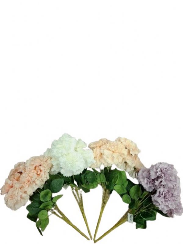 Photo of Large Leafed Carnation Bunch 4 Asst Pk12