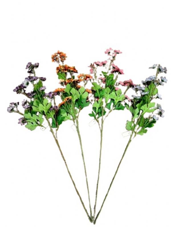 Photo of Tall Wildflower Daisys 4 Asst Pk24