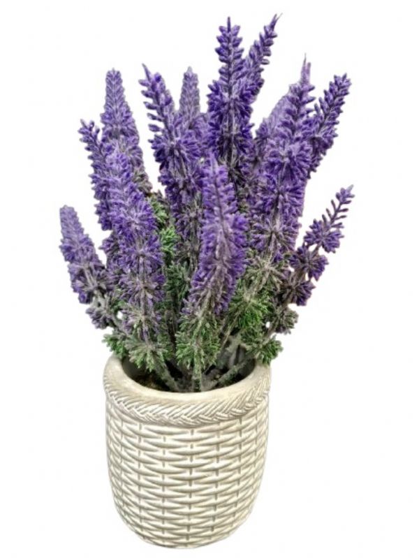 Photo of Ceramic  Frosted Lavender Pot  Pk6