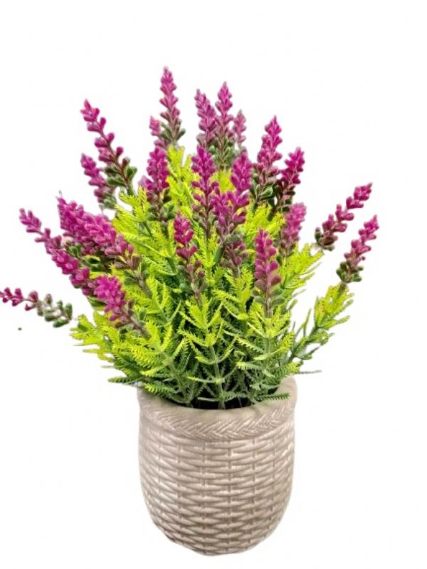 Photo of Ceramic  Spring Lavender Flower  Pot Pk6
