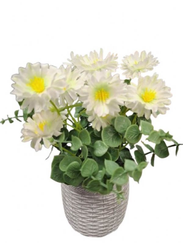 Photo of Ceramic Sashta Daisy Flower Pot Pk6