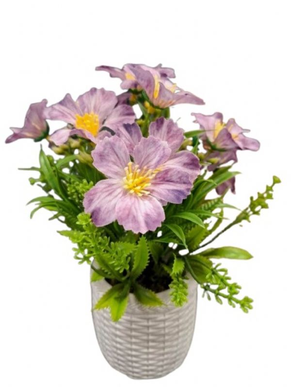 Photo of Ceramic  Peruvian Lillies In Flower Pot  Pk6