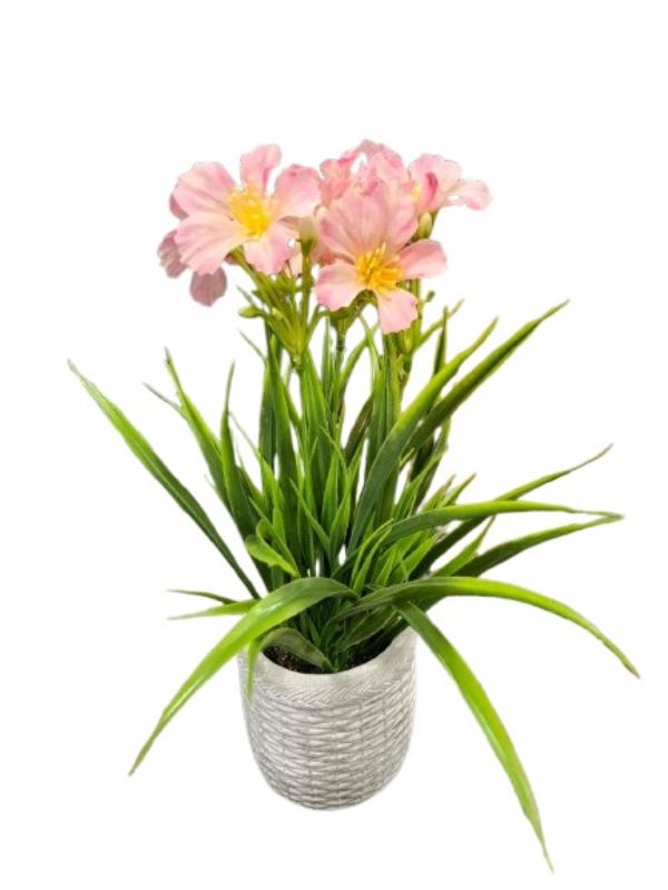 Photo of Ceramic  Pink Cosmos Flower Pot  Pk6