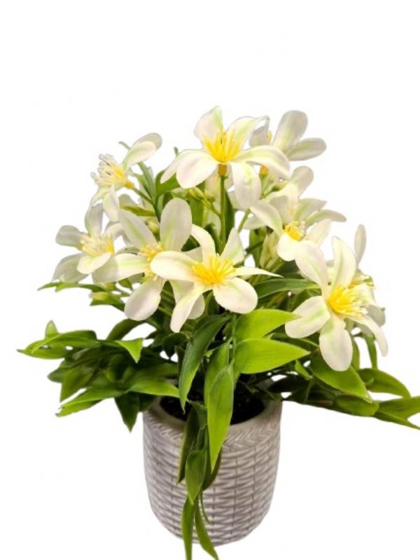 Photo of Ceramic  Spring Blossom Flower Pot Pk6