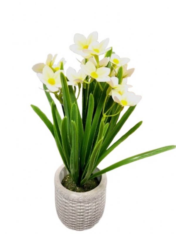 Photo of Ceramic Narcissus Flower Pot Pk6