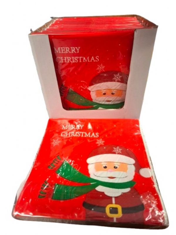 Photo of Winter Santa 3ply Christmas Napkin Pk10